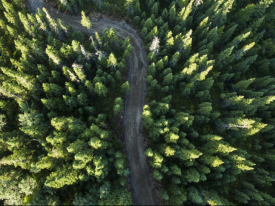Aerial footage of Mistissini forest road
