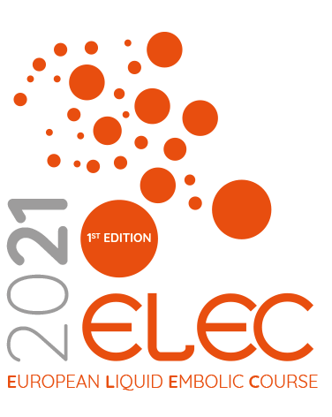 ELEc IR 2021