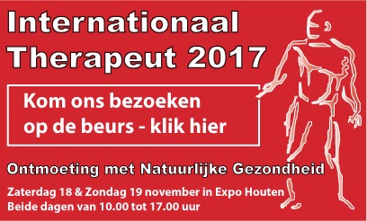 Festivals in de Zomer