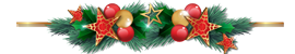 270x50
